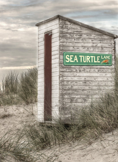 Custom BEACH Sign - Sea Turtle Lane