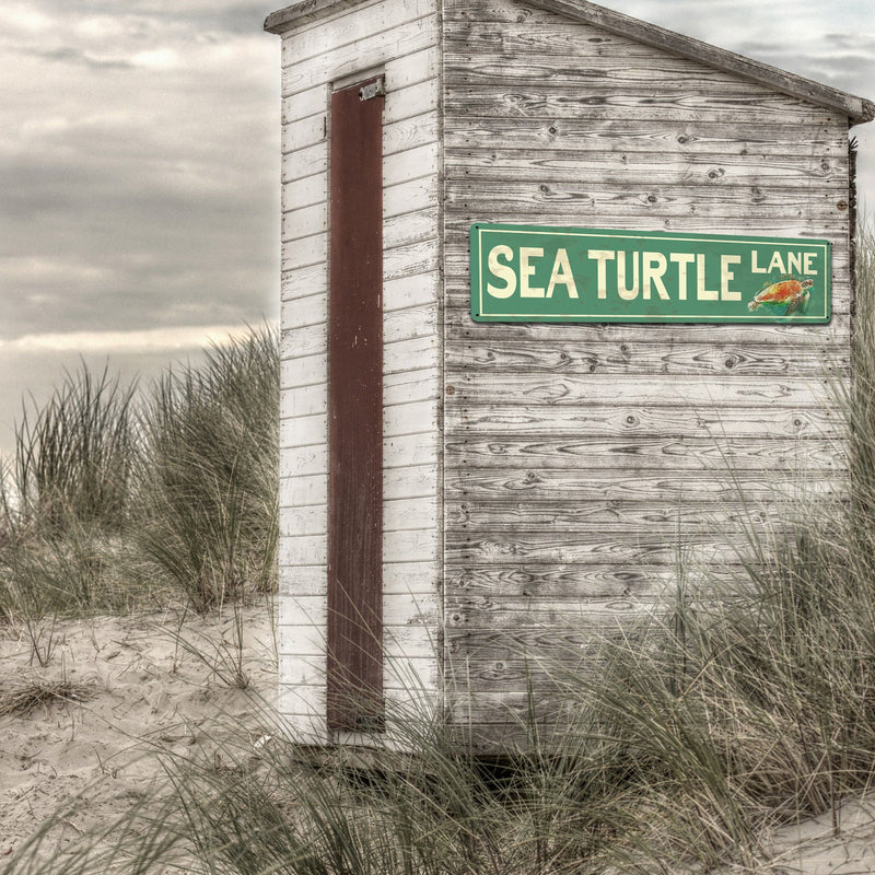 Custom BEACH Sign - Sea Turtle Lane