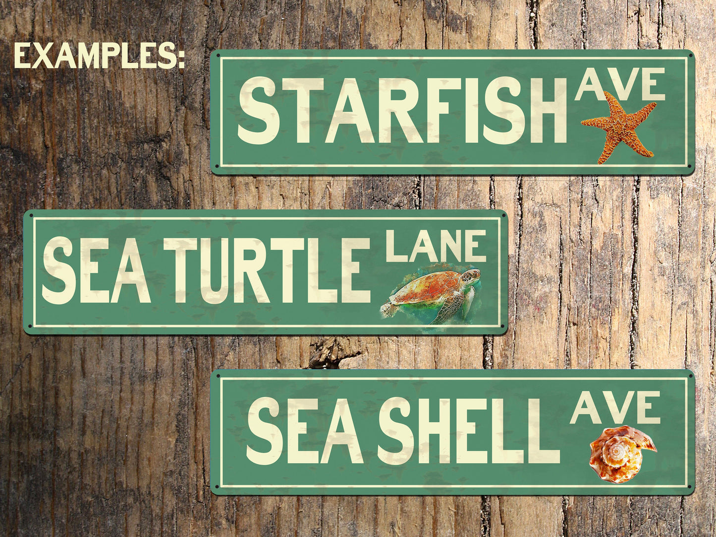 Custom BEACH Sign - Sea Turtle Lane