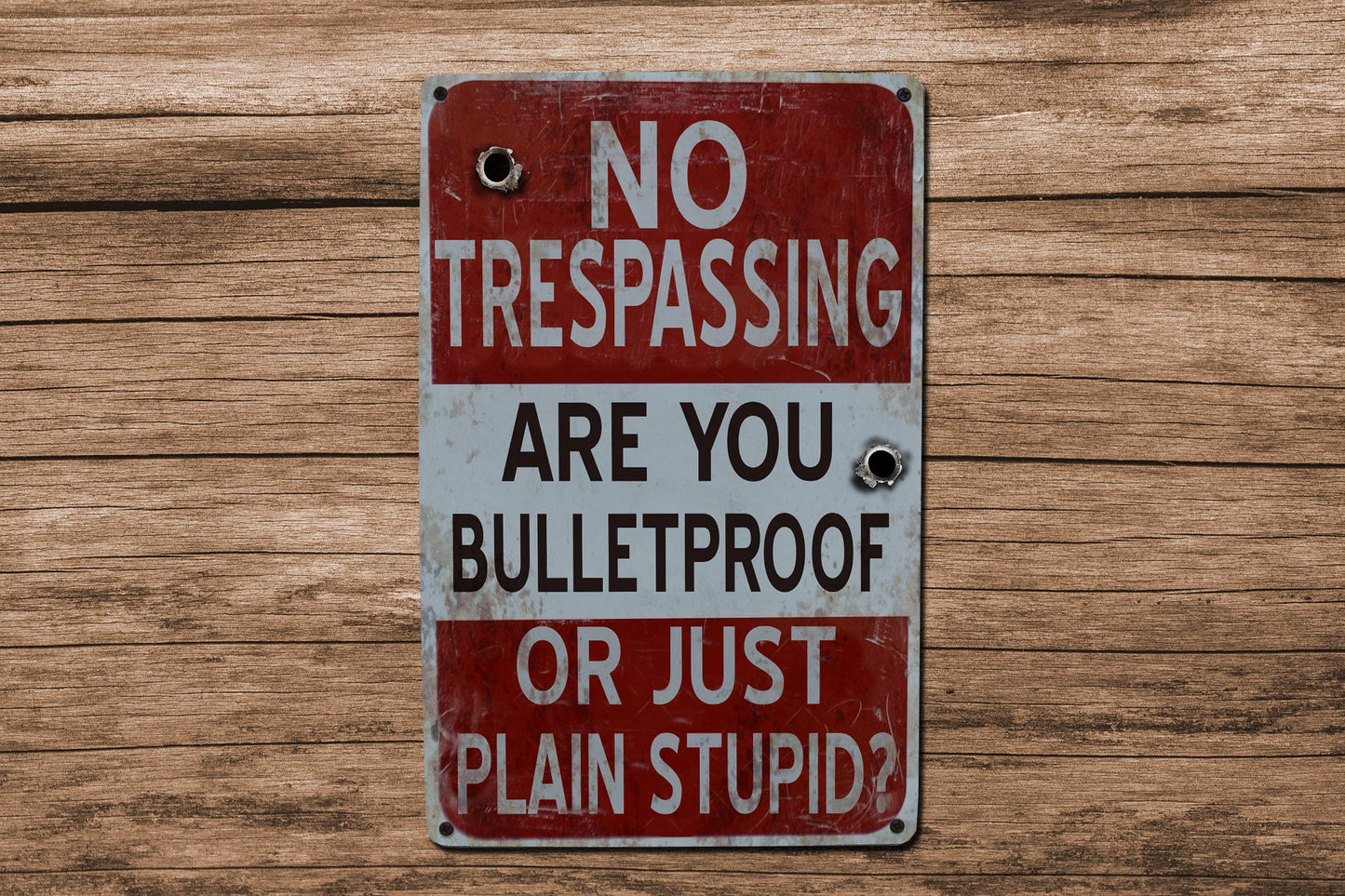 No Trespassing Sign - Vintage Metal Sign